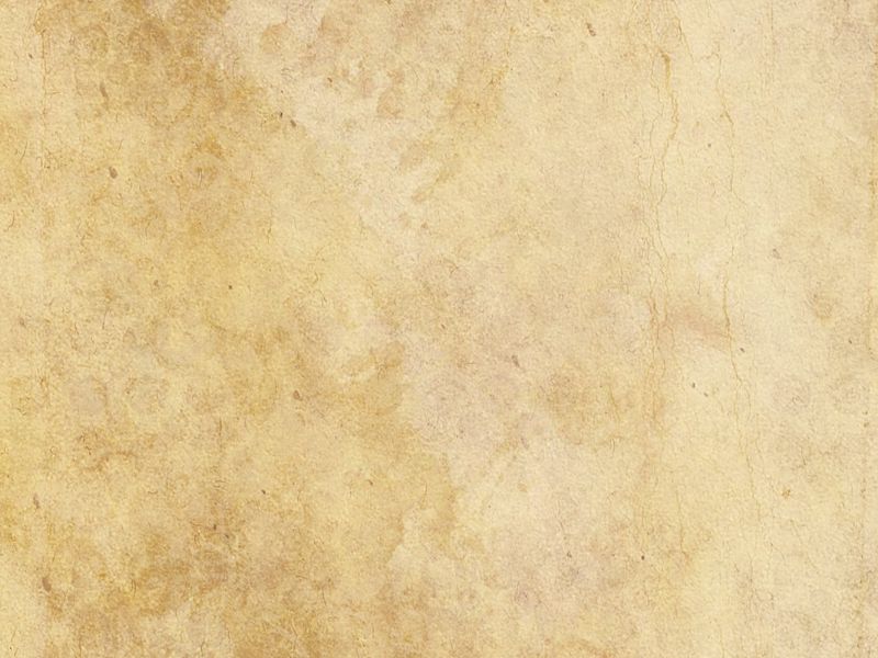 Parchment Paper Texture Beige Background Parchment Beige Texture  Background Image And Wallpaper for Free Download