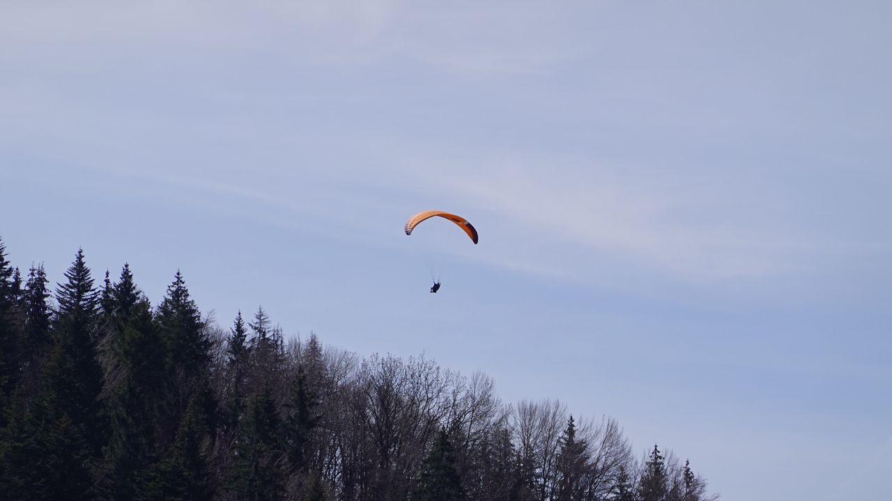 Wallpaper parachute, parachutist, trees, sky