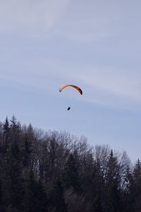 Preview wallpaper parachute, parachutist, trees, sky