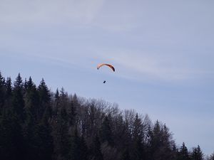 Preview wallpaper parachute, parachutist, trees, sky