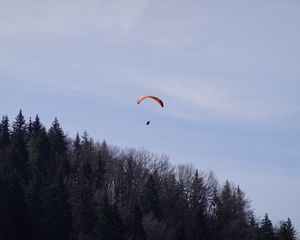 Preview wallpaper parachute, parachutist, trees, sky