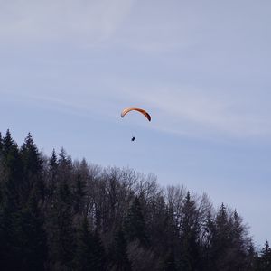 Preview wallpaper parachute, parachutist, trees, sky