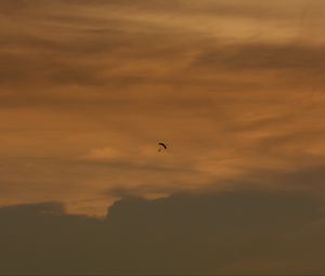 Preview wallpaper parachute, skydiver, sunset, sky