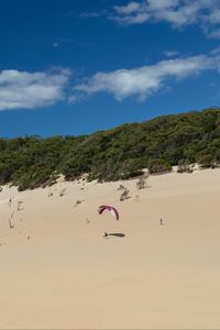 Preview wallpaper parachutist, beach, sand, sport, extreme