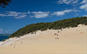 Preview wallpaper parachutist, beach, sand, sport, extreme