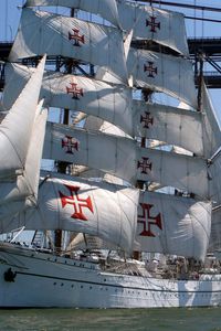 Preview wallpaper parade, regatta, sea, gulf, strait, bridge, ship