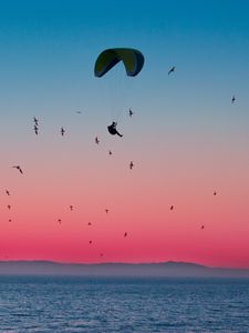 Preview wallpaper paragliding, parachute, sea, flight, birds, horizon