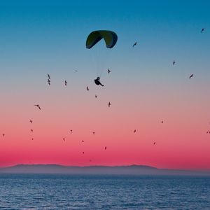 Preview wallpaper paragliding, parachute, sea, flight, birds, horizon