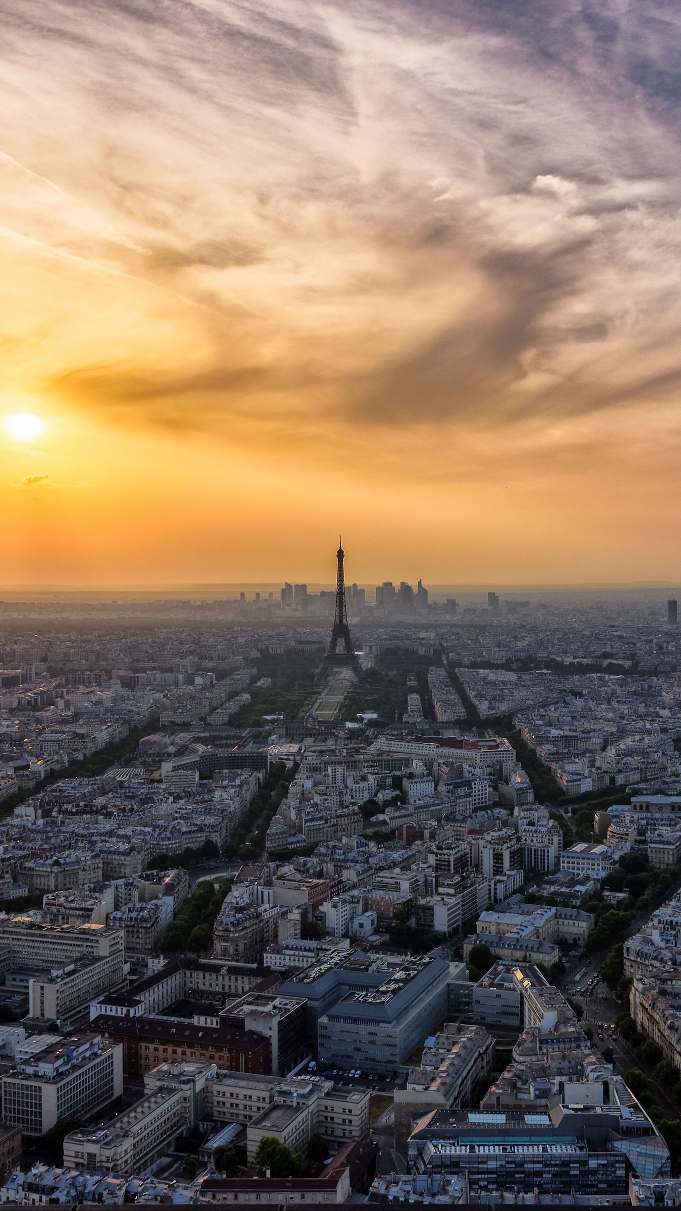 1350x2400 Wallpaper paris, eiffel tower, city, buildings, france
