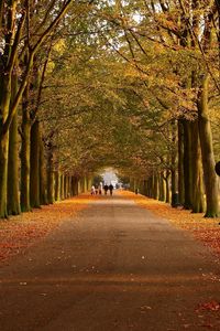 Preview wallpaper park, autumn, trees, walking paths