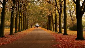 Preview wallpaper park, autumn, trees, walking paths