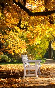 Preview wallpaper park, bench, foliage, autumn