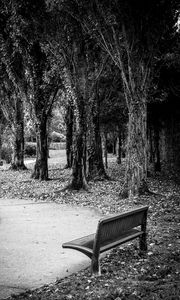 Preview wallpaper park, bench, leaves, autumn, black-and-white