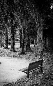 Preview wallpaper park, bench, leaves, autumn, black-and-white