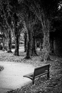Preview wallpaper park, bench, leaves, autumn, black-and-white