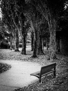 Preview wallpaper park, bench, leaves, autumn, black-and-white