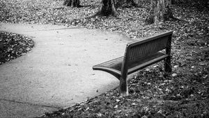 Preview wallpaper park, bench, leaves, autumn, black-and-white