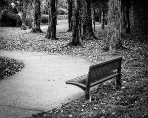 Preview wallpaper park, bench, leaves, autumn, black-and-white