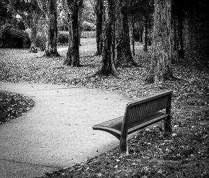 Preview wallpaper park, bench, leaves, autumn, black-and-white