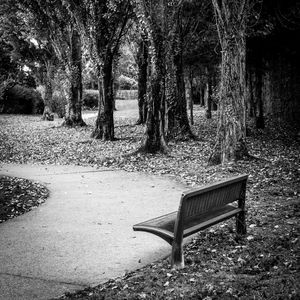 Preview wallpaper park, bench, leaves, autumn, black-and-white