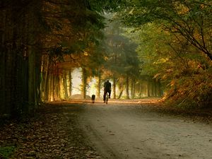 Preview wallpaper park, bike, skate, trees, autumn