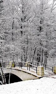 Preview wallpaper park, bridge, winter, snow, hoarfrost