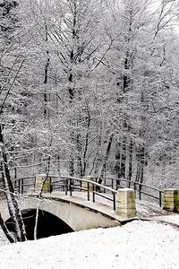 Preview wallpaper park, bridge, winter, snow, hoarfrost