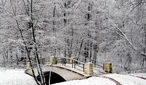 Preview wallpaper park, bridge, winter, snow, hoarfrost