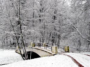 Preview wallpaper park, bridge, winter, snow, hoarfrost