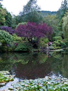 Preview wallpaper park, canada, garden, pond, victoria butchart, nature