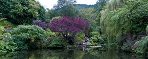 Preview wallpaper park, canada, garden, pond, victoria butchart, nature