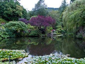 Preview wallpaper park, canada, garden, pond, victoria butchart, nature