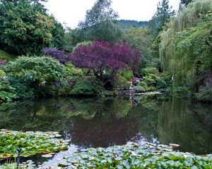 Preview wallpaper park, canada, garden, pond, victoria butchart, nature