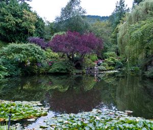 Preview wallpaper park, canada, garden, pond, victoria butchart, nature