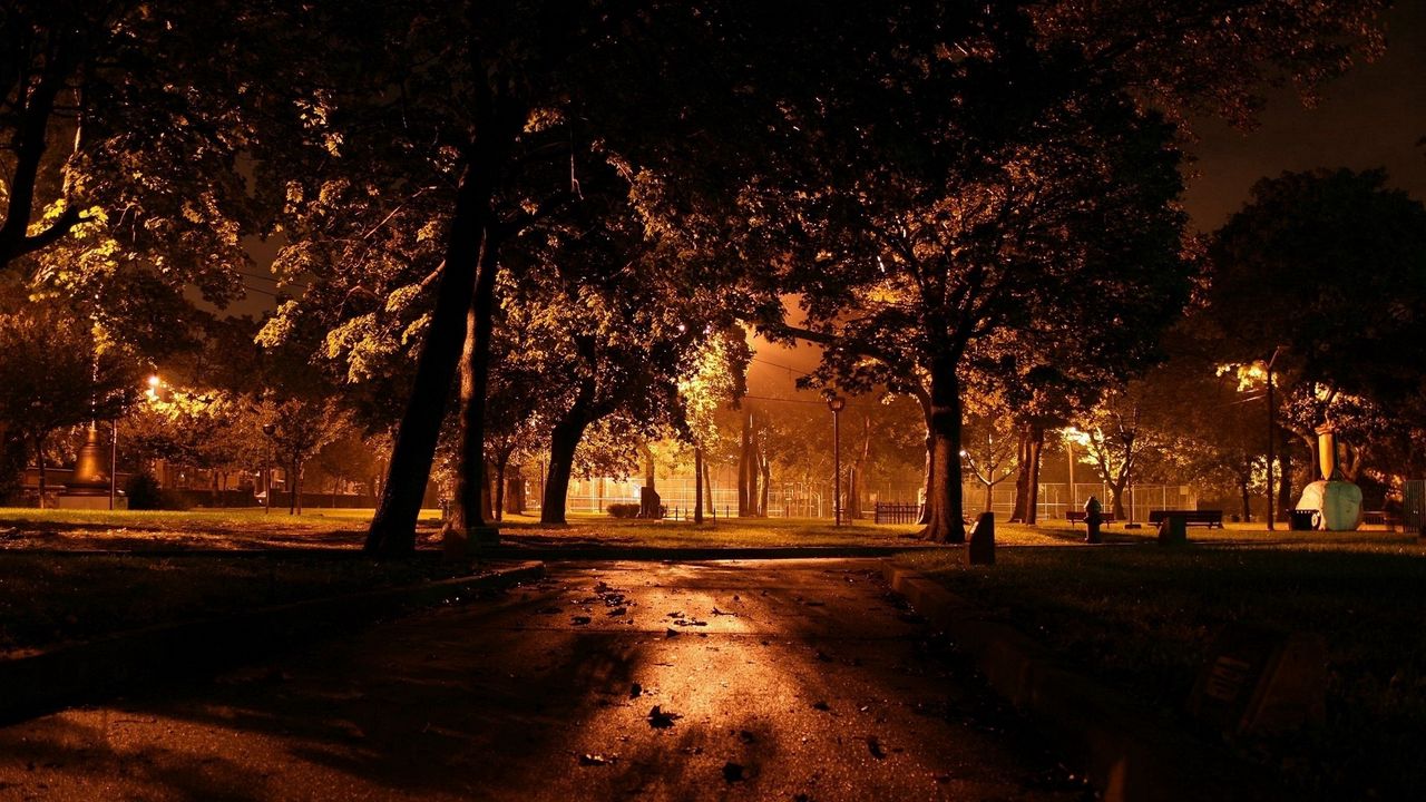 Wallpaper park, evening, illumination, trees, asphalt, leaves