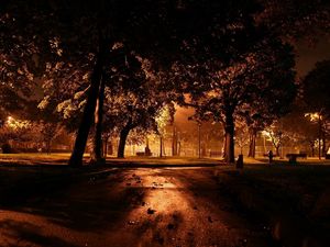 Preview wallpaper park, evening, illumination, trees, asphalt, leaves