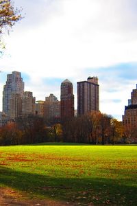 Preview wallpaper park, evening, new york, foliage, home