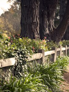 Preview wallpaper park, fence, protection, grass, earth, road, track