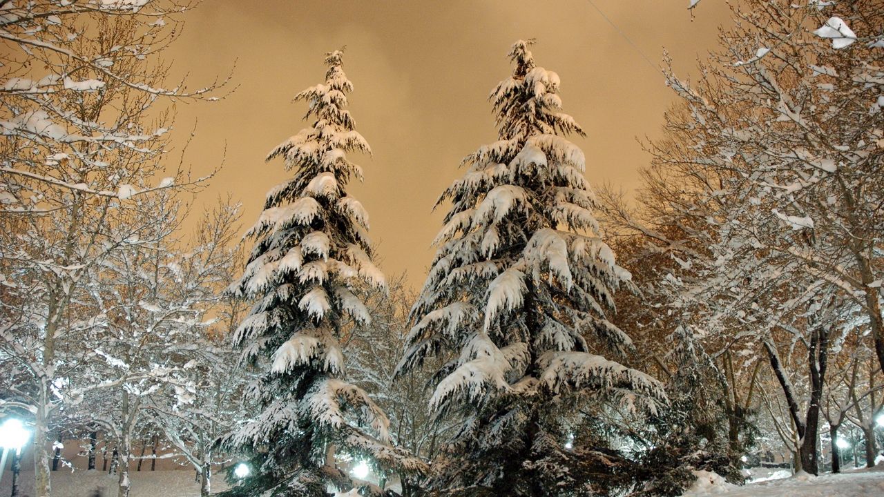Wallpaper park, fir-trees, snow, light, lamp, sky, heavy, clouds, winter, snowdrifts, cover