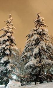 Preview wallpaper park, fir-trees, snow, light, lamp, sky, heavy, clouds, winter, snowdrifts, cover