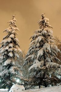 Preview wallpaper park, fir-trees, snow, light, lamp, sky, heavy, clouds, winter, snowdrifts, cover