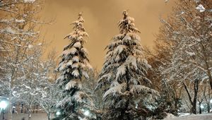 Preview wallpaper park, fir-trees, snow, light, lamp, sky, heavy, clouds, winter, snowdrifts, cover