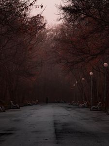 Preview wallpaper park, fog, silhouette, trees