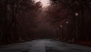 Preview wallpaper park, fog, silhouette, trees