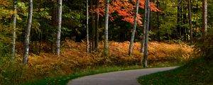 Preview wallpaper park, forest, path, trees, autumn, yellow
