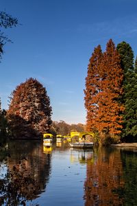 Preview wallpaper park, lake, autumn, trees, reflection