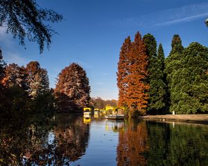 Preview wallpaper park, lake, autumn, trees, reflection