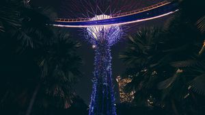 Preview wallpaper park, landscape design, palm trees, scenery, singapore