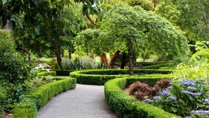 Preview wallpaper park, new zealand, landscape, christchurch, shrubs, design, nature