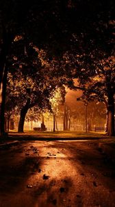 Preview wallpaper park, night, lighting, trees, path, leaves